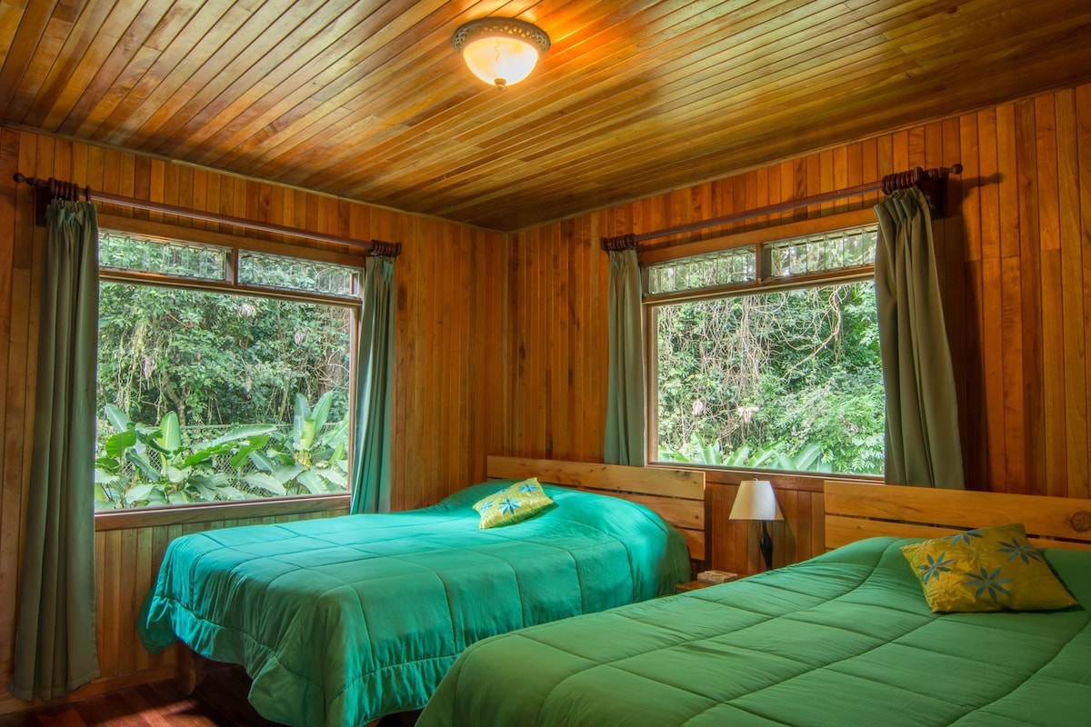 A room with wooden walls and ceiling, two beds with green bedding, a nightstand with a lamp, and large windows with curtains.