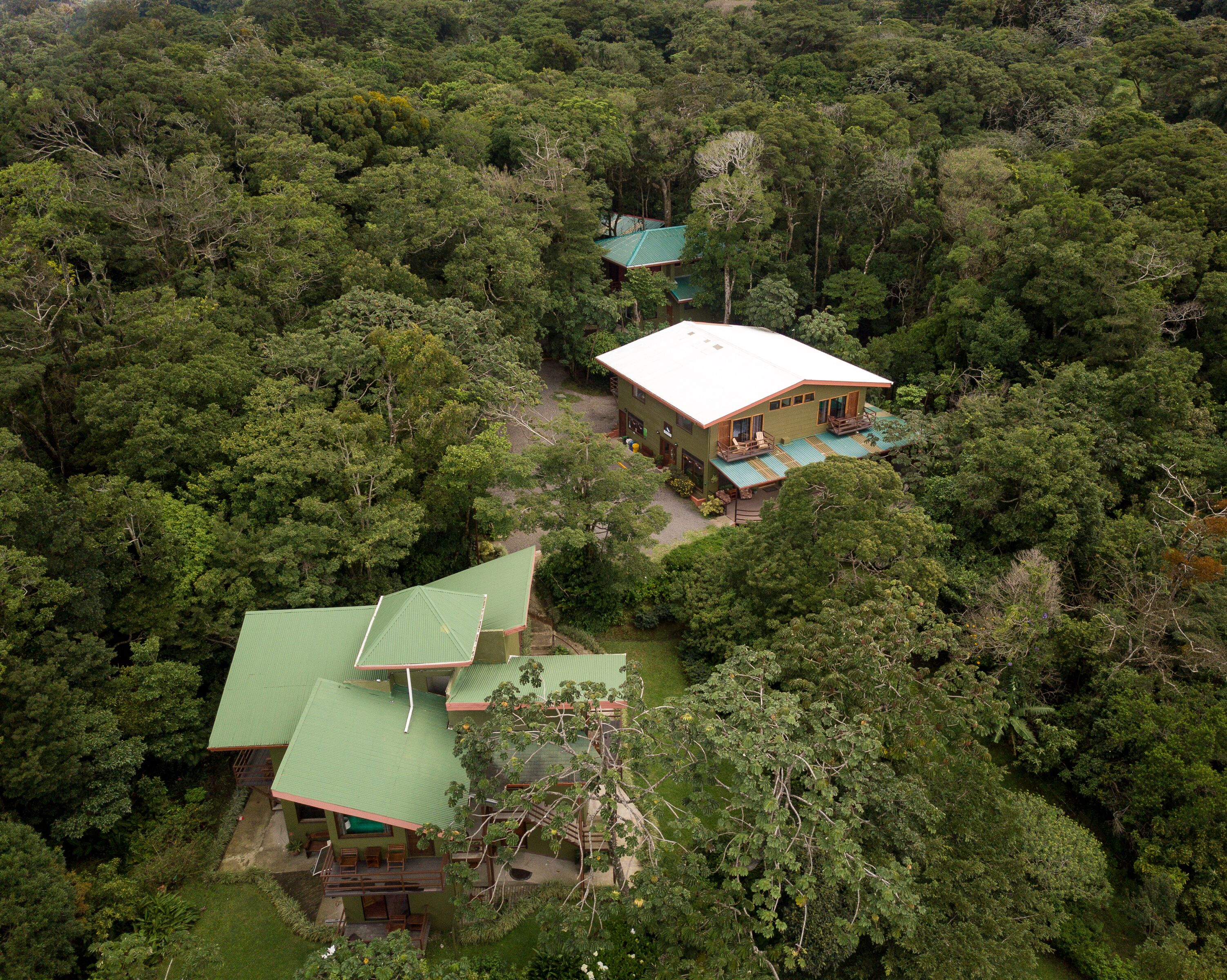 A two-story house with a green roof, surrounded by dense forest.