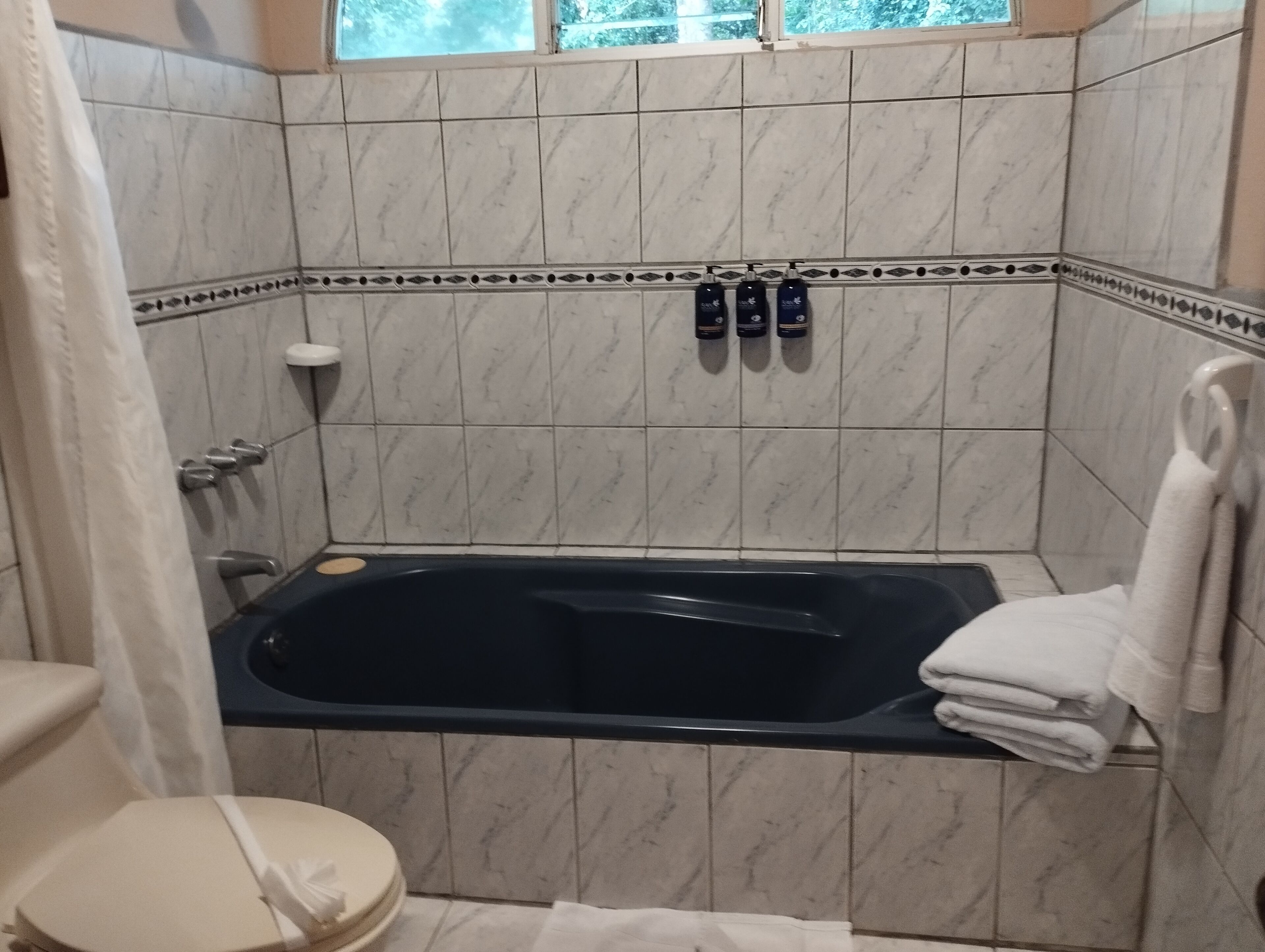 A bathroom with a bathtub, toilet, and hand soap dispensers on the wall.