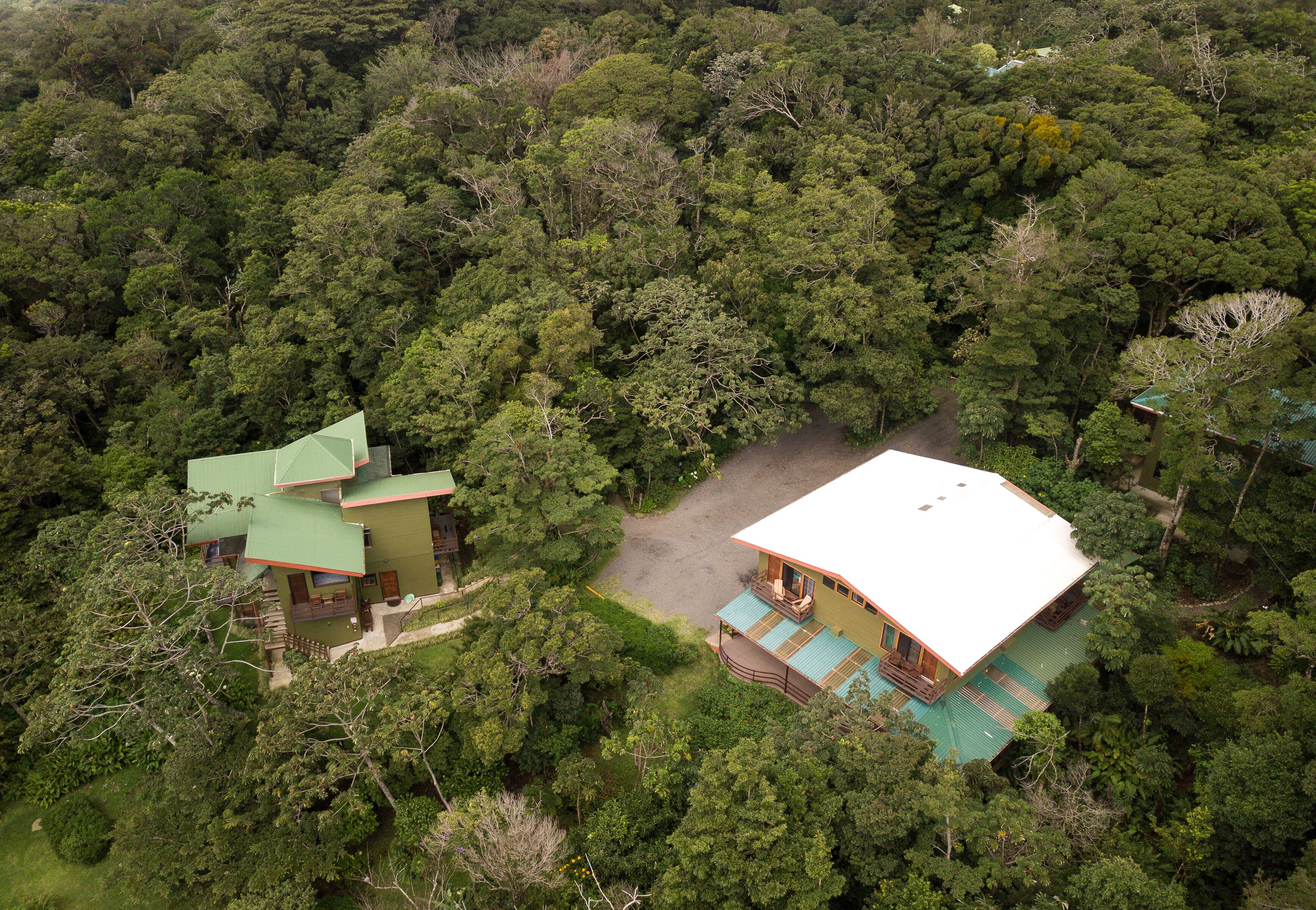 Un edificio de dos pisos con techo verde, rodeado de un bosque denso.