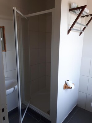 Une salle de bain avec douche, toilettes et porte-serviettes.
