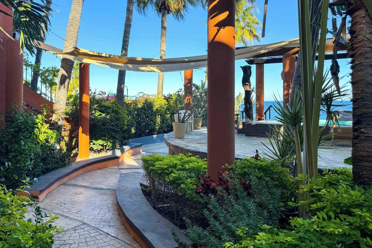 Un sentier bordé de palmiers et de plantes en pot, qui mène à un espace aménagé avec vue sur l’océan.