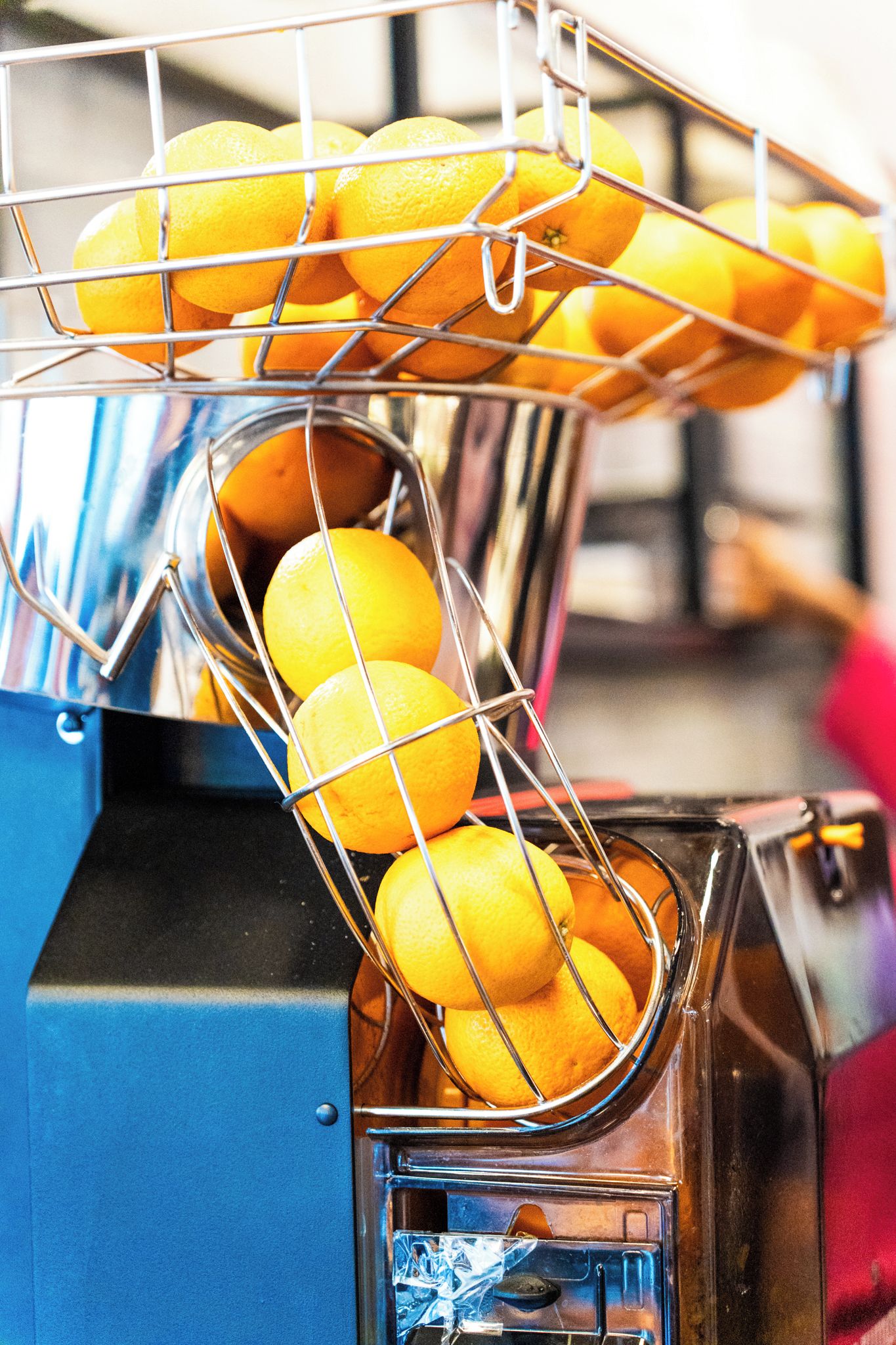 Oranges being processed in a machine, likely for juicing or cleaning.