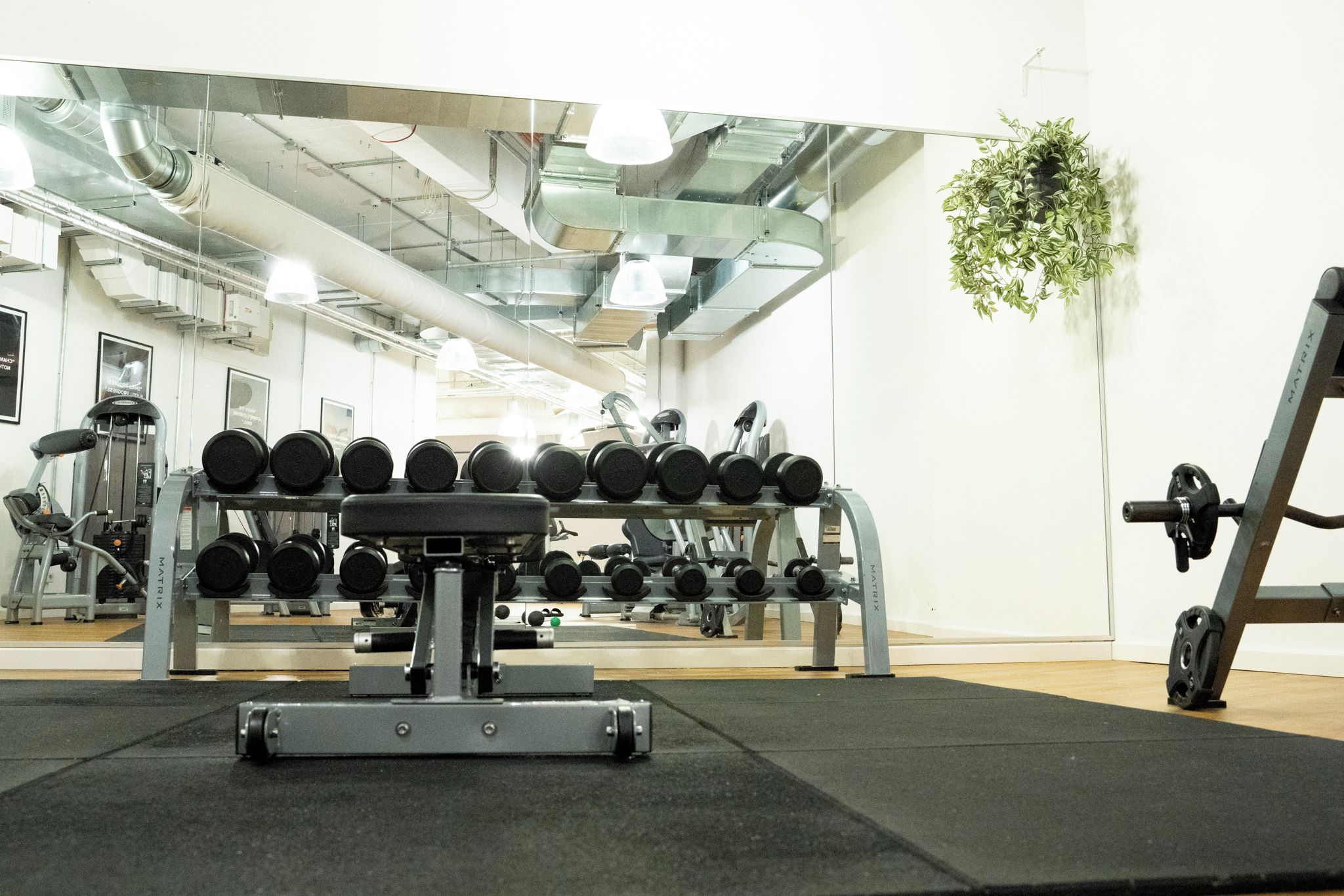 A gym with weightlifting equipment, including dumbbells and a bench press.