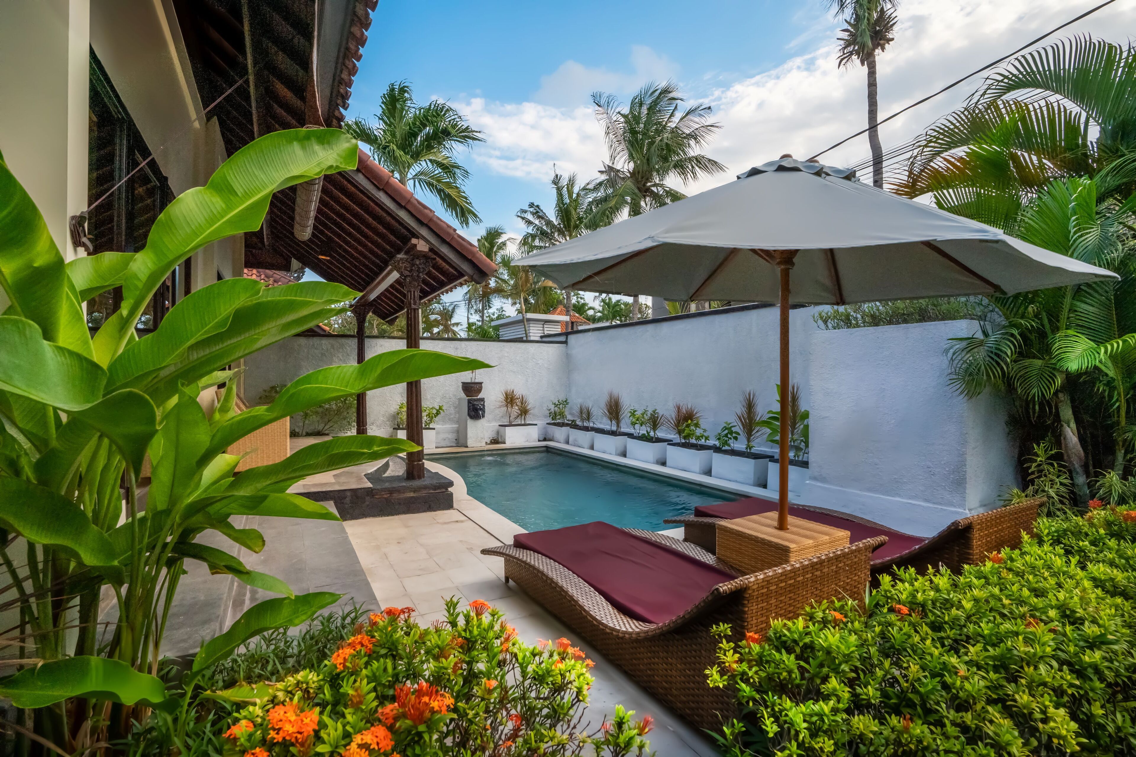 Un área de piscina con sillas de descanso y una sombrilla, rodeada de plantas tropicales y un muro blanco.