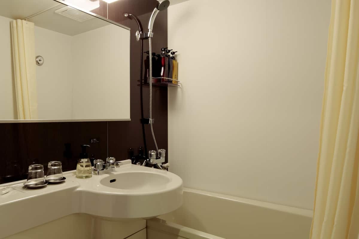 combined shower/bathtub, free toiletries, hair dryer, slippers