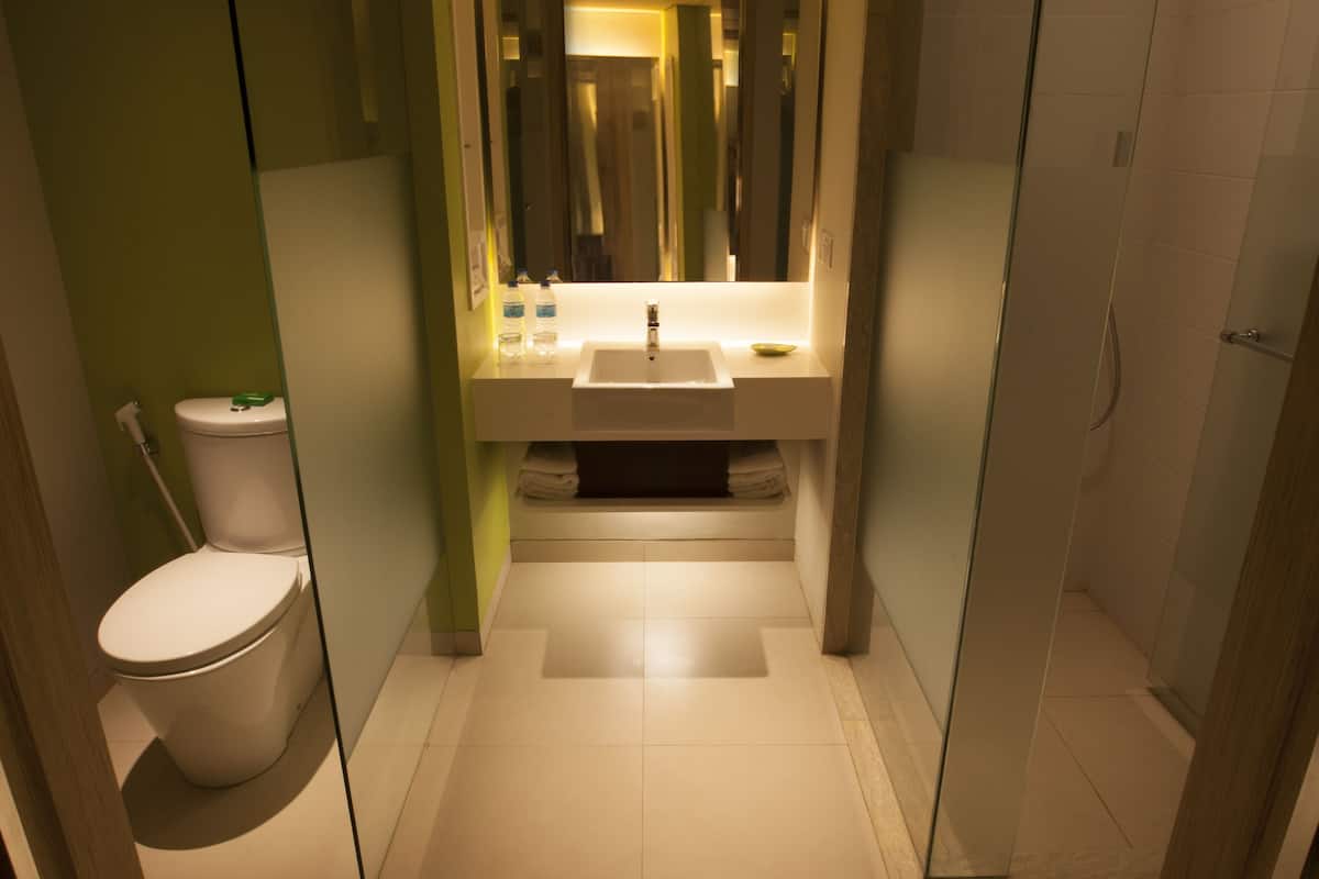 shower, free toiletries, hair dryer, slippers