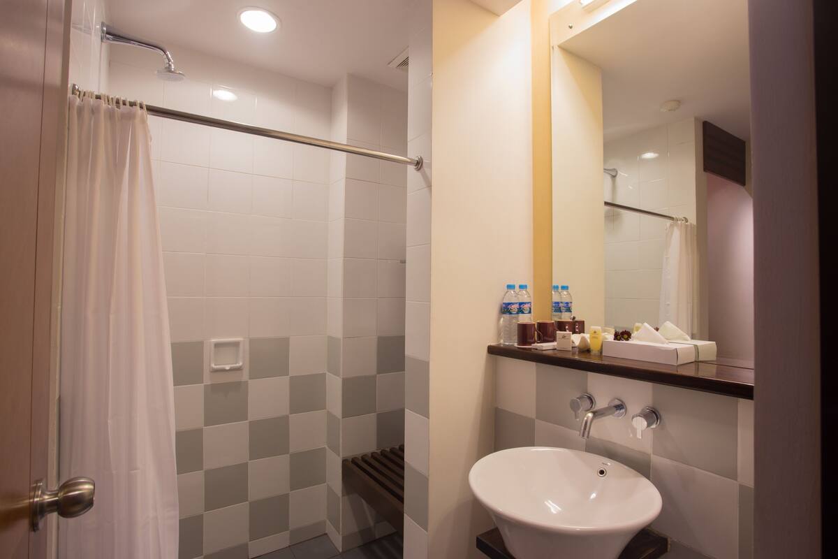 shower, free toiletries, hair dryer, slippers