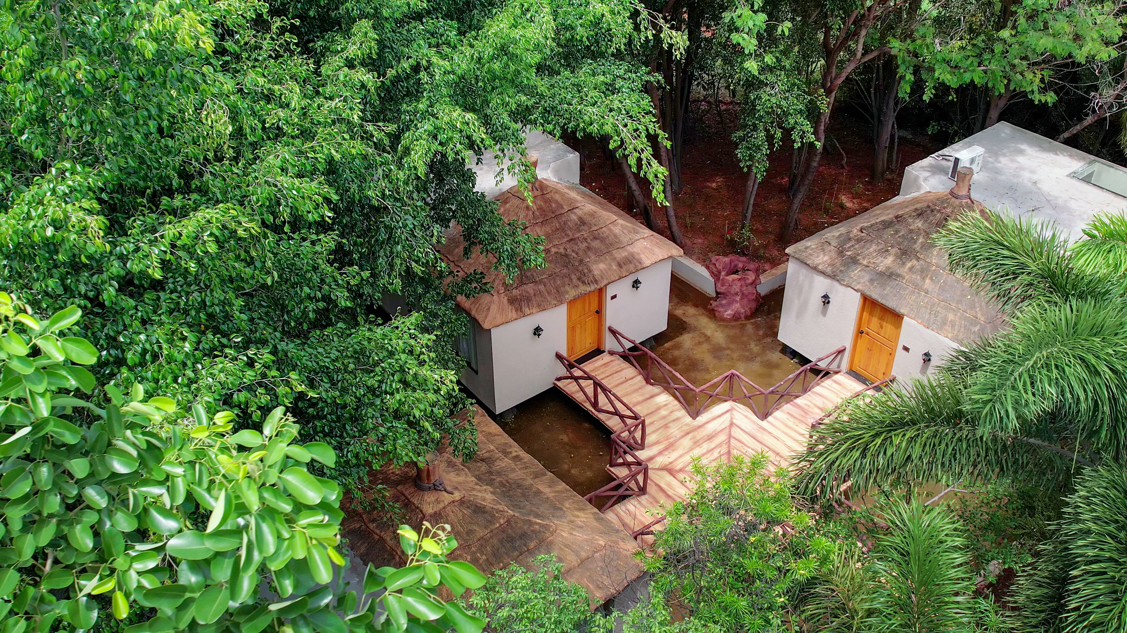 Une cour isolée, bordée d’arbres, abritant deux petites constructions aux toits de chaume, chacune dotée d’une porte en bois et d’une petite fenêtre.