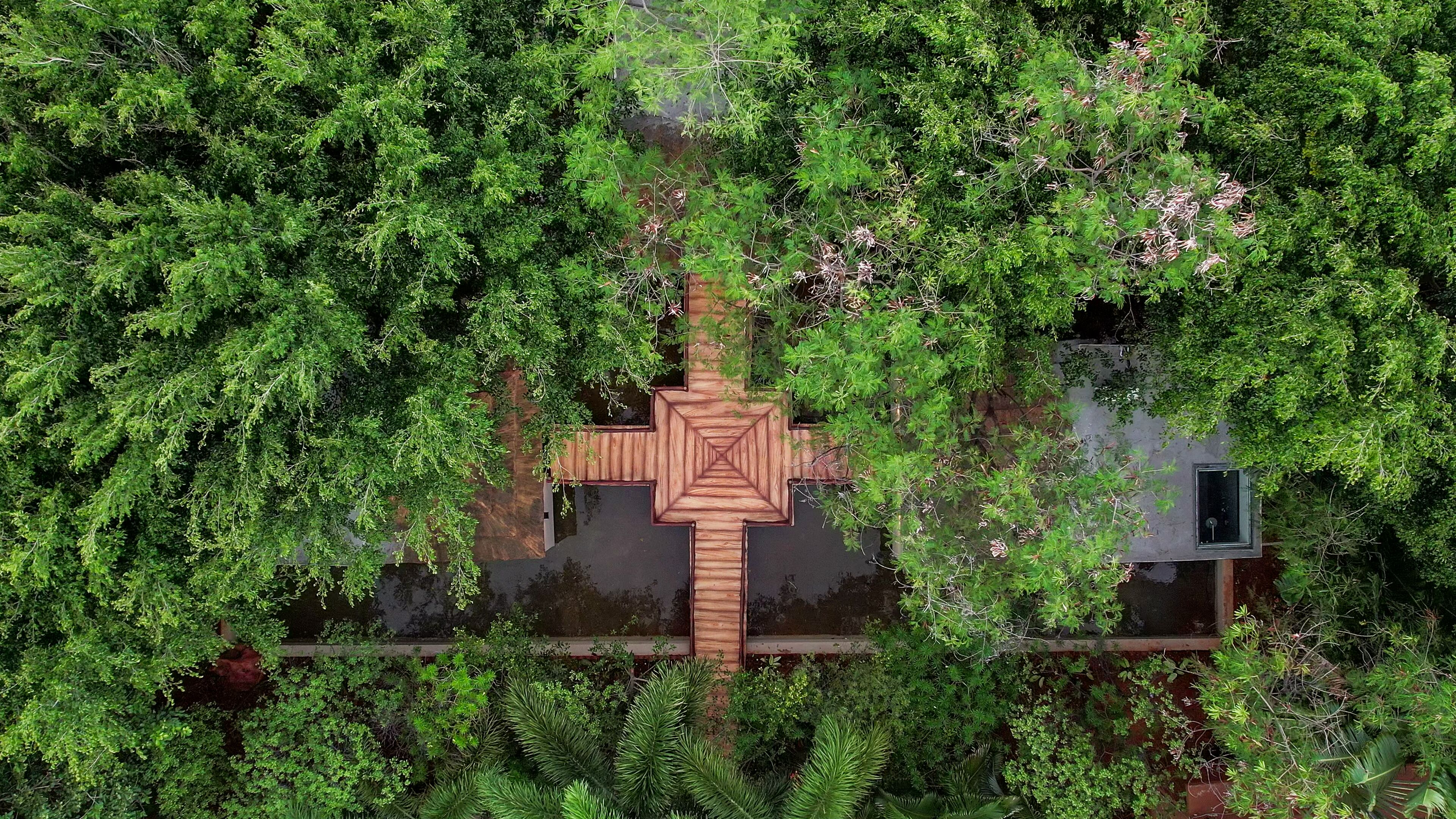 Una estructura de madera en forma de cruz rodeada de un follaje verde y tupido.