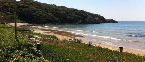 A coastal landscape with a beach, greenery, and a clear sky.