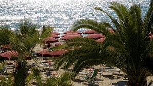 A beach with rows of red umbrellas and palm trees, overlooking the ocean. - Grand Hotel La Playa (Sperlonga)