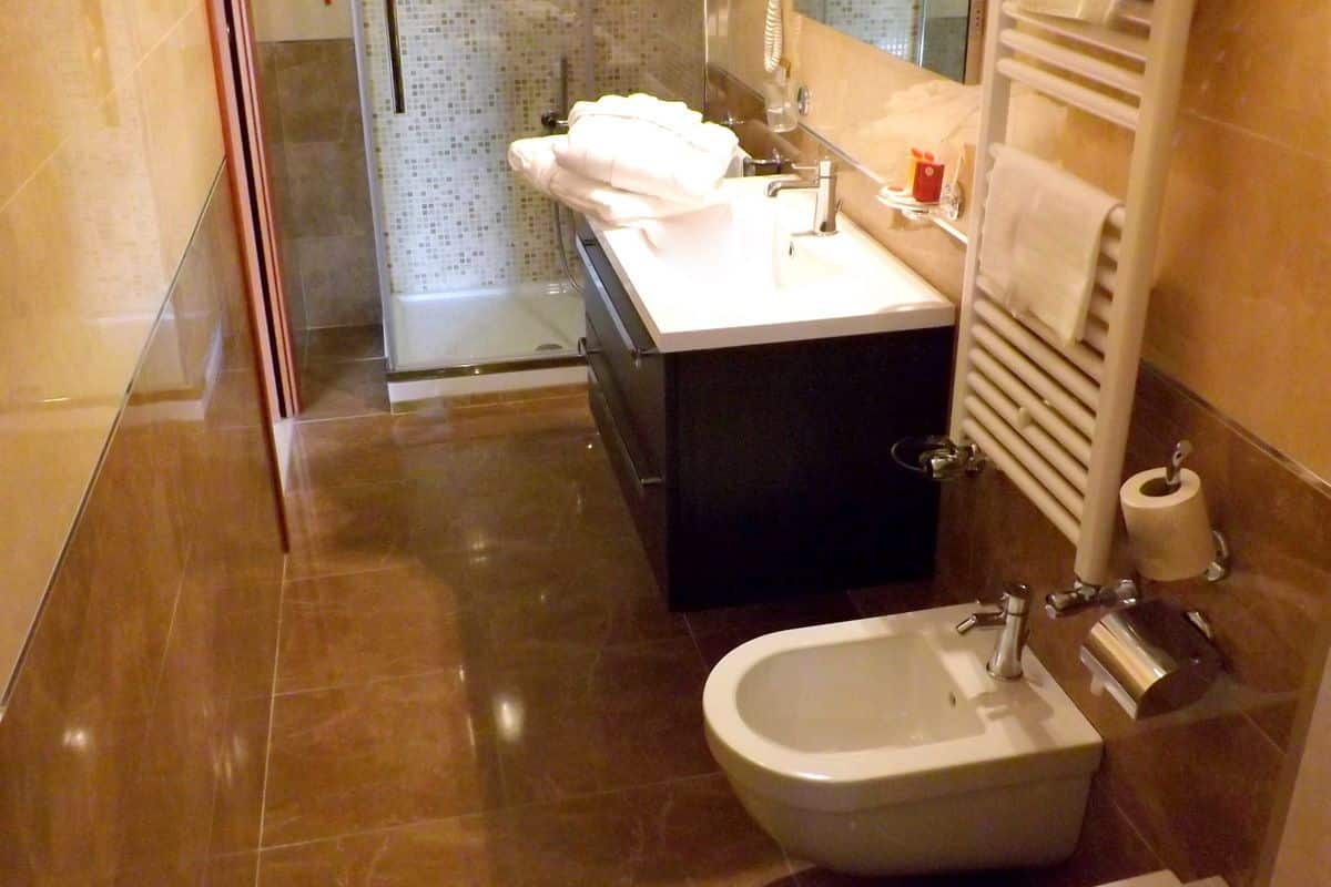 shower, hair dryer, bathrobes, bidet