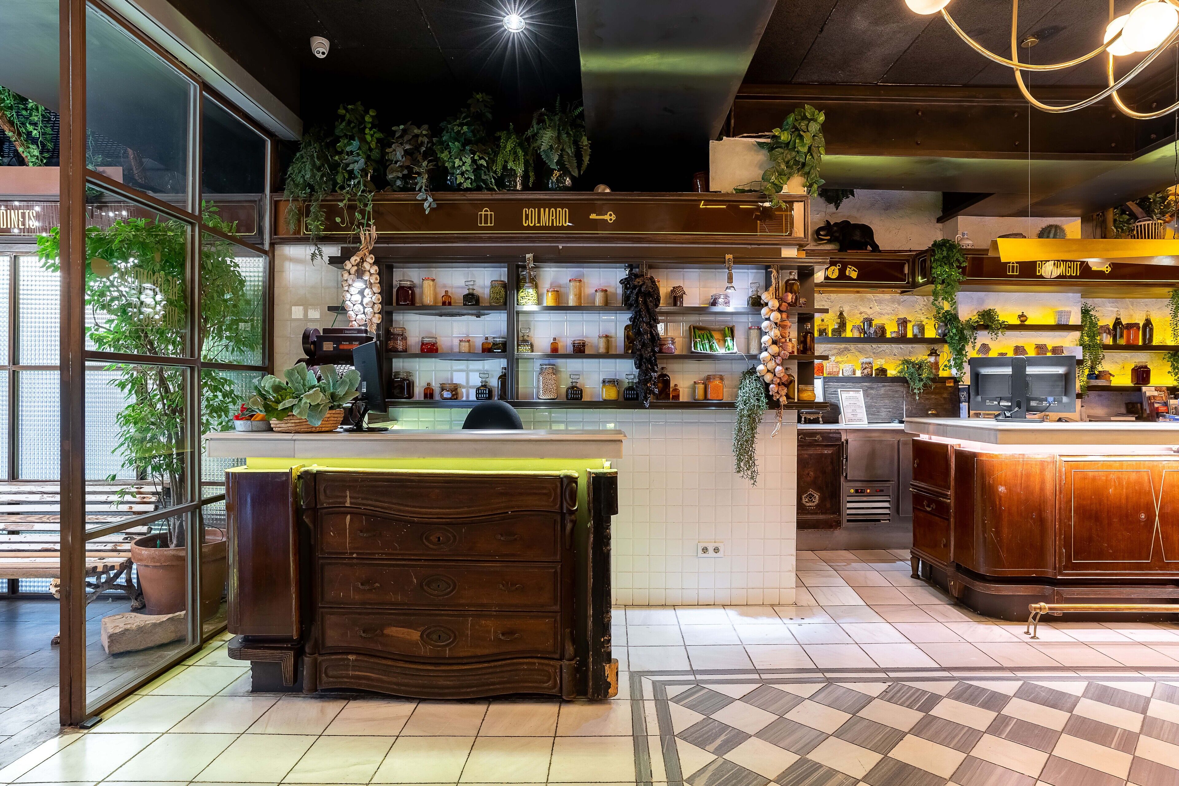 A bar area with a wooden counter, shelves with bottles, and potted plants.