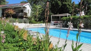 A swimming pool with a tiled deck, surrounded by lush greenery and a covered seating area.