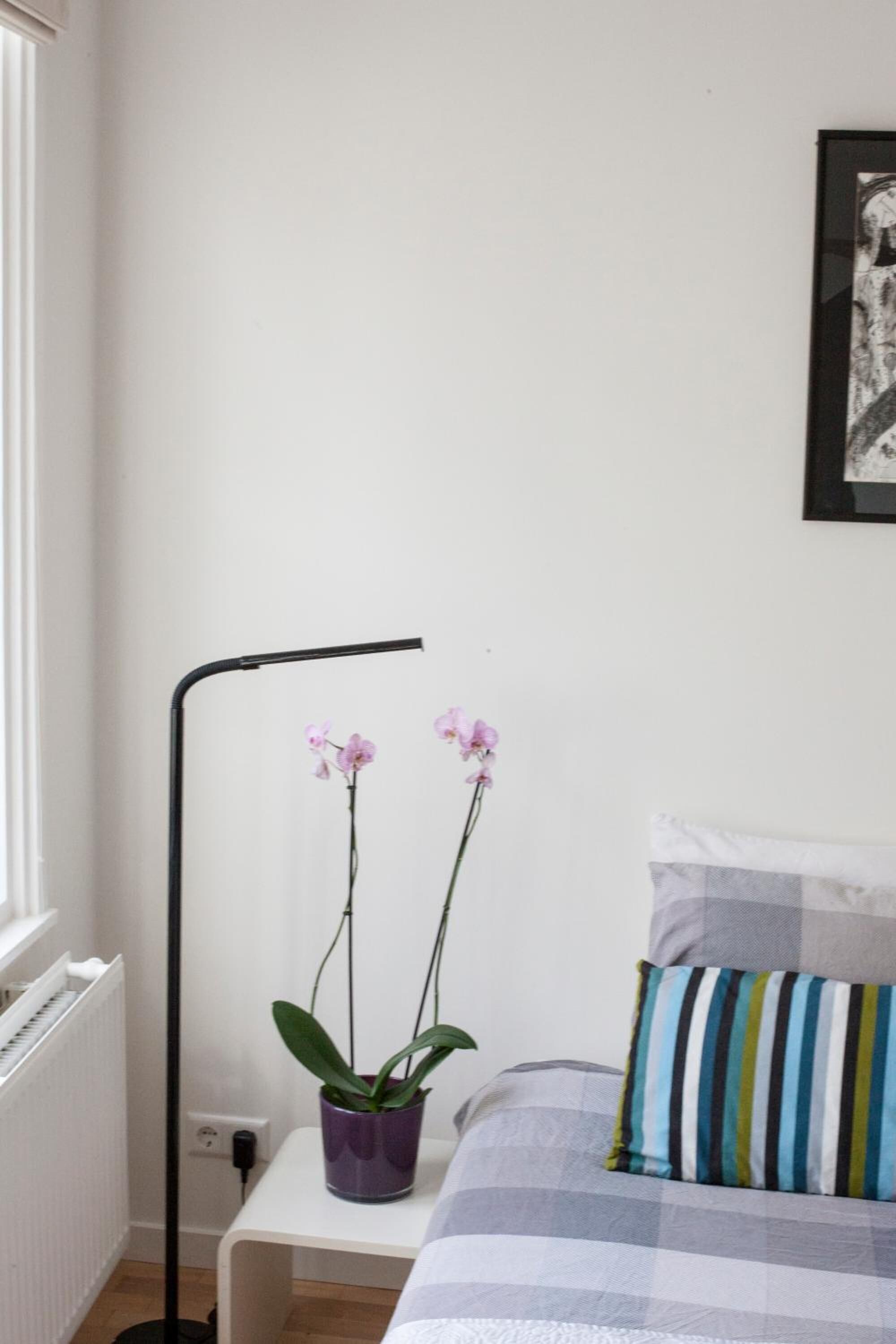 Photo - Kuwadro Guesthouse Centrum