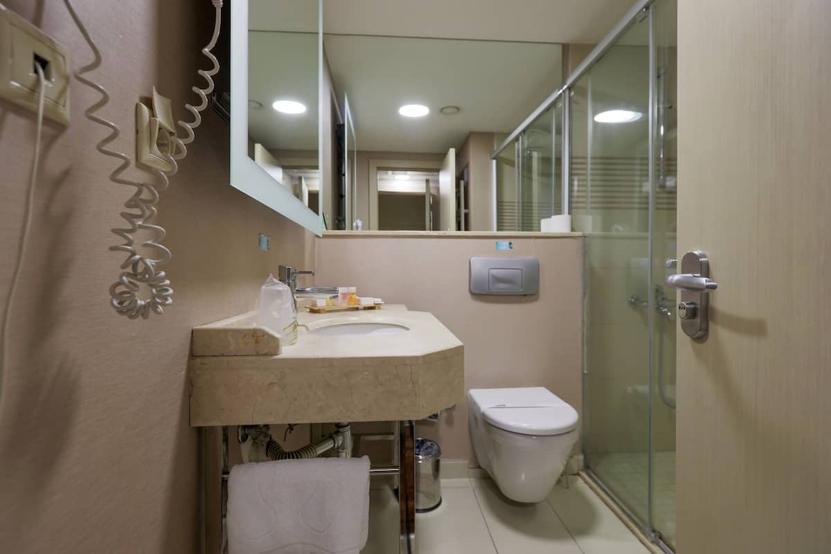 standard room | bathroom | shower, free toiletries, hair dryer, slippers