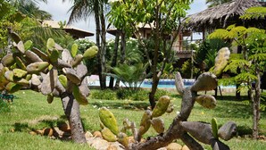 A cactus garden with a pool and a building in the background.