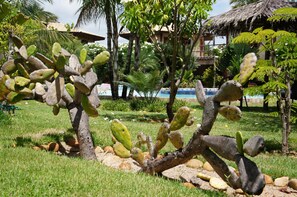 2 outdoor pools, sun loungers - Morada dos Ventos (Tibau do Sul)
