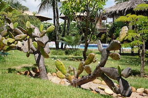 2 piscinas externas, espreguiçadeiras