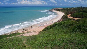 A coastal landscape with a beach, ocean, and greenery.