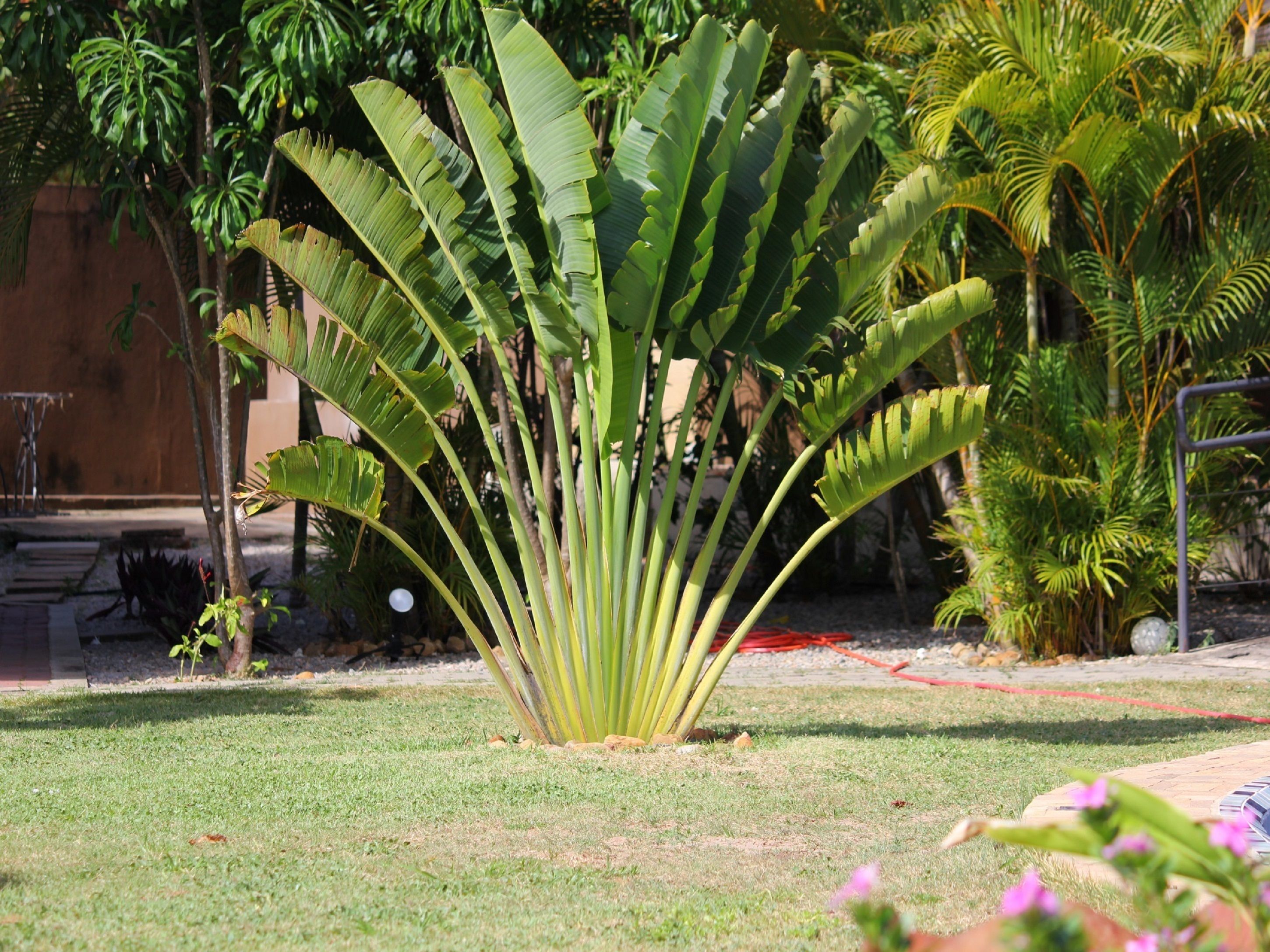 Foto - Pousada Morada dos Ventos