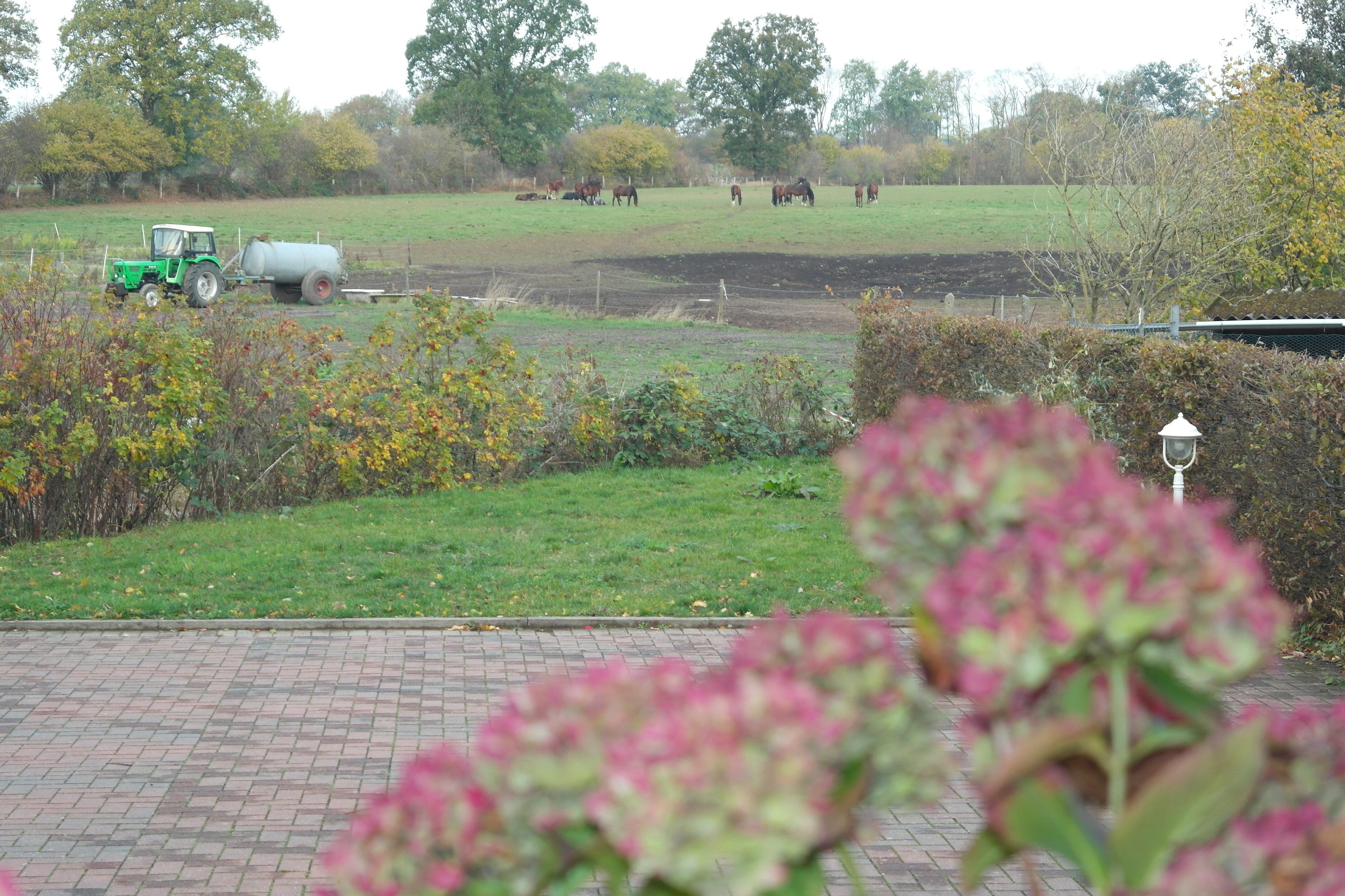 A rural landscape with a tractor and horses in a field.