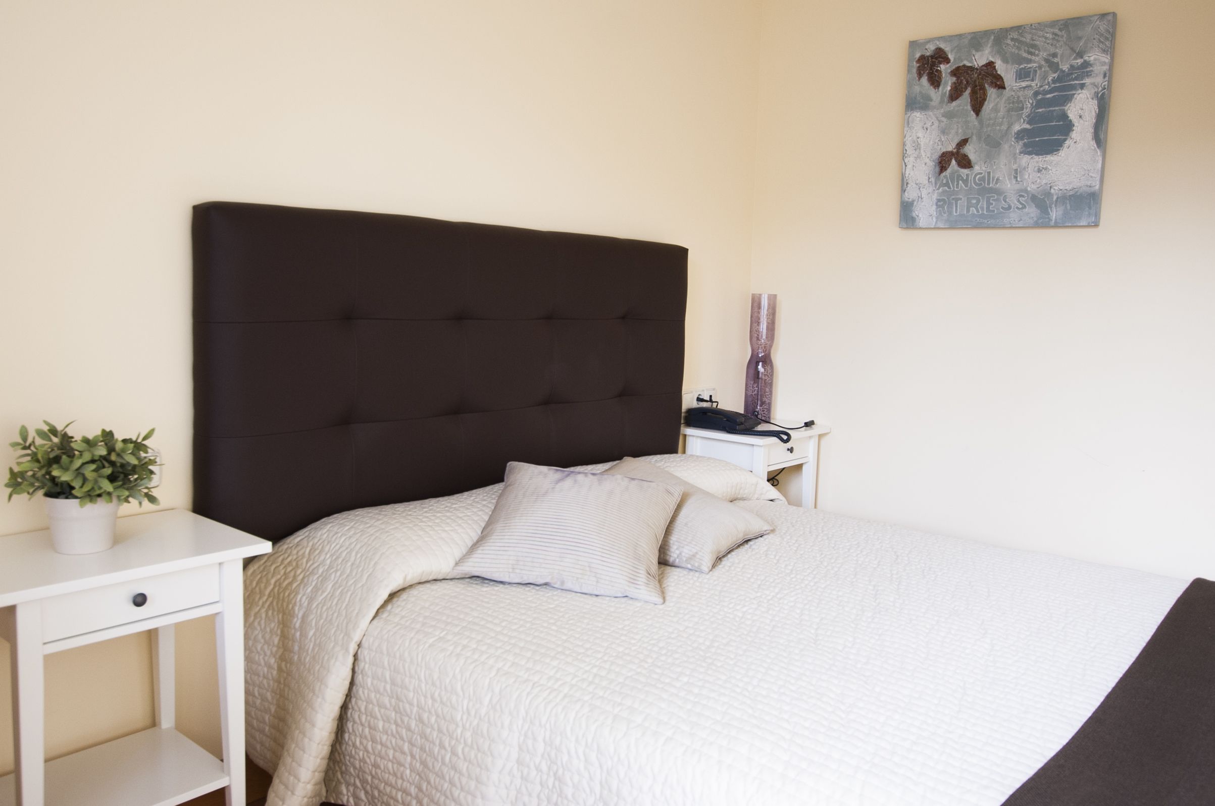 double room | desk, iron/ironing board, rollaway beds, free wifi