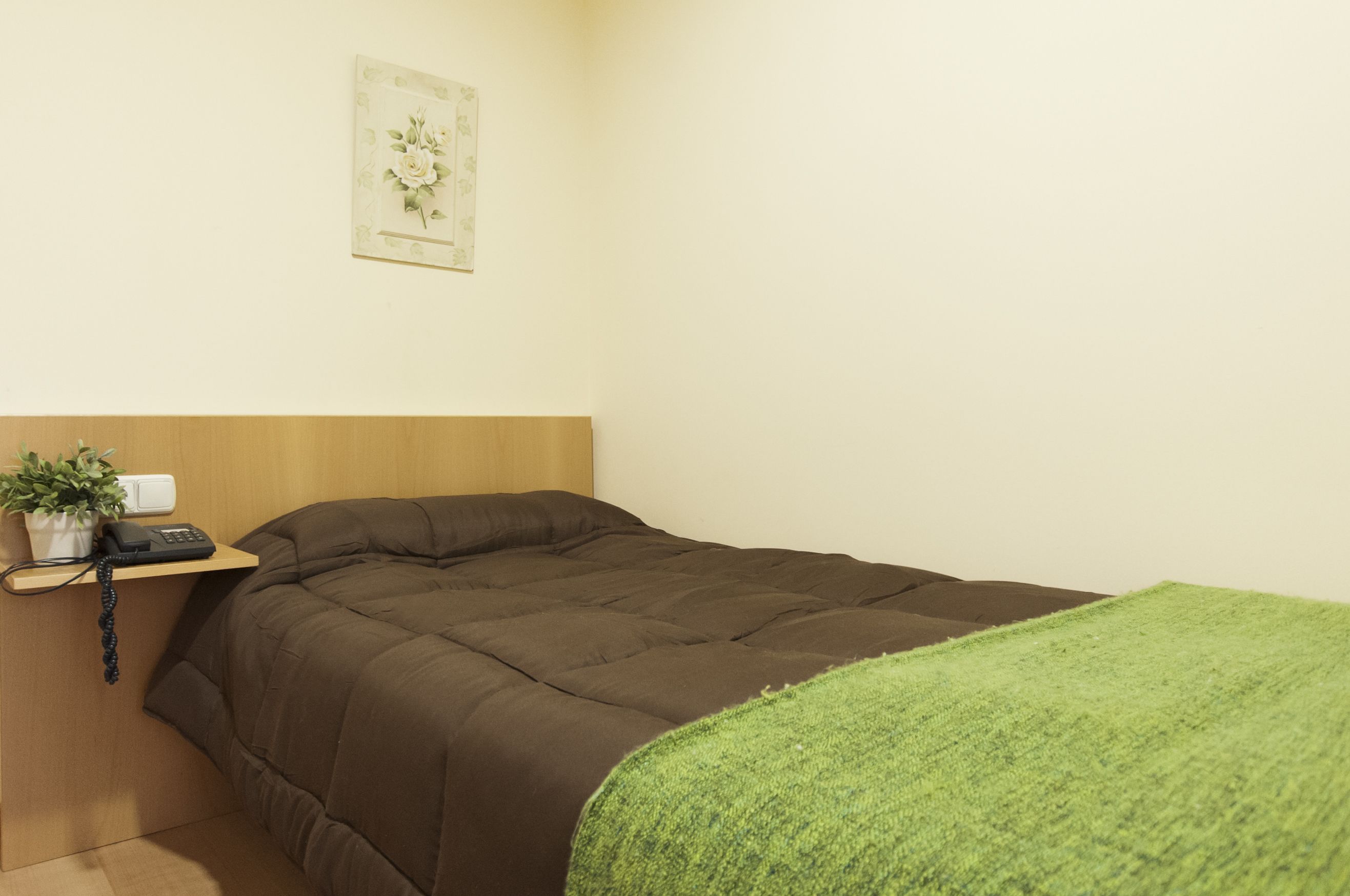 single room | desk, iron/ironing board, rollaway beds, free wifi