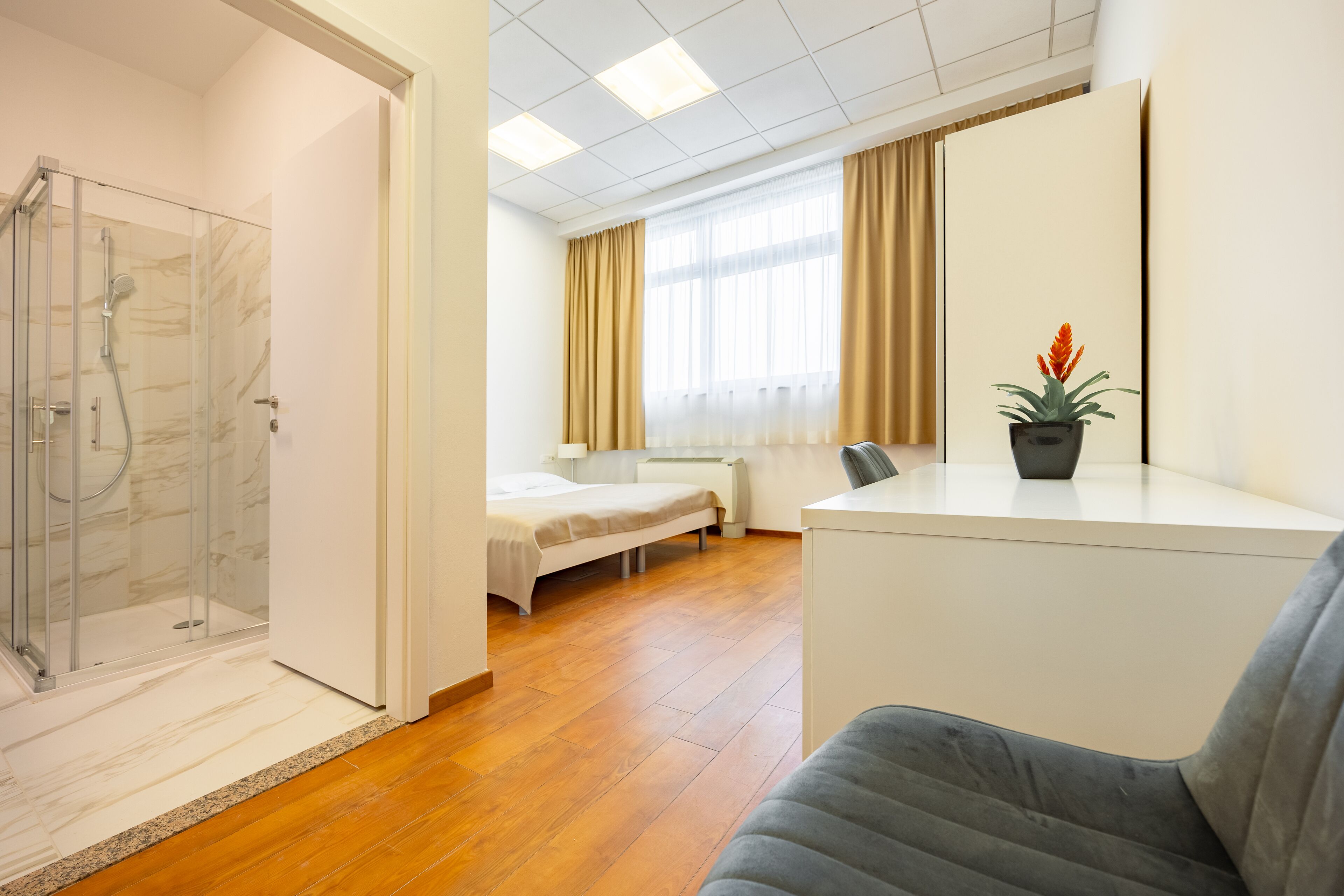 A modern hotel room with a shower, a bed, a desk, and a potted plant.