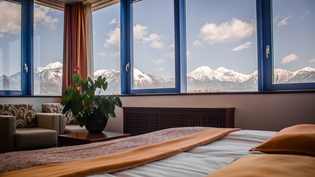 Habitación de hotel con cama, planta en maceta y vistas a montañas nevadas a través de amplios ventanales.