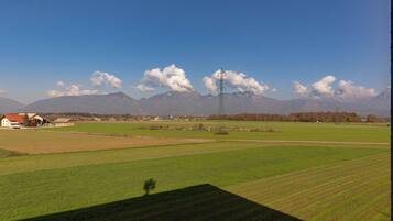 A rural landscape with a clear sky, green fields, and distant mountains.