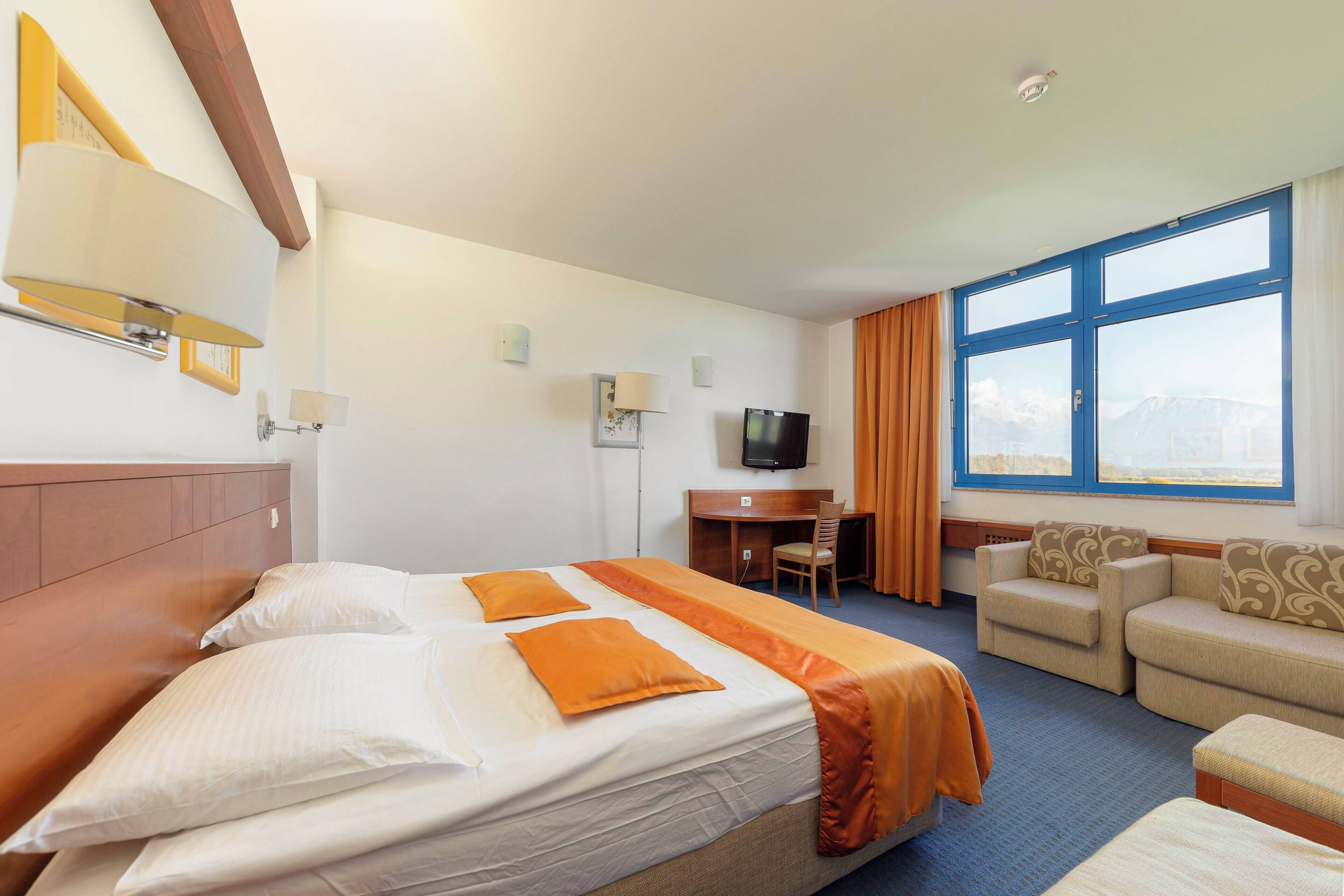 Een hotelkamer met een bed, een bureau, een televisie en een bank.