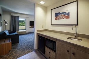 Studio King Suite Non Smoking | Minibar