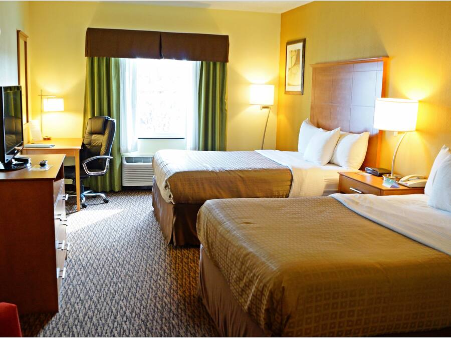 Two double beds non smoking | Desk, laptop workspace, blackout curtains, iron/ironing board