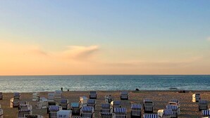 Uma praia com fileiras de cadeiras e guarda-sóis listrados, alguns com números visíveis.