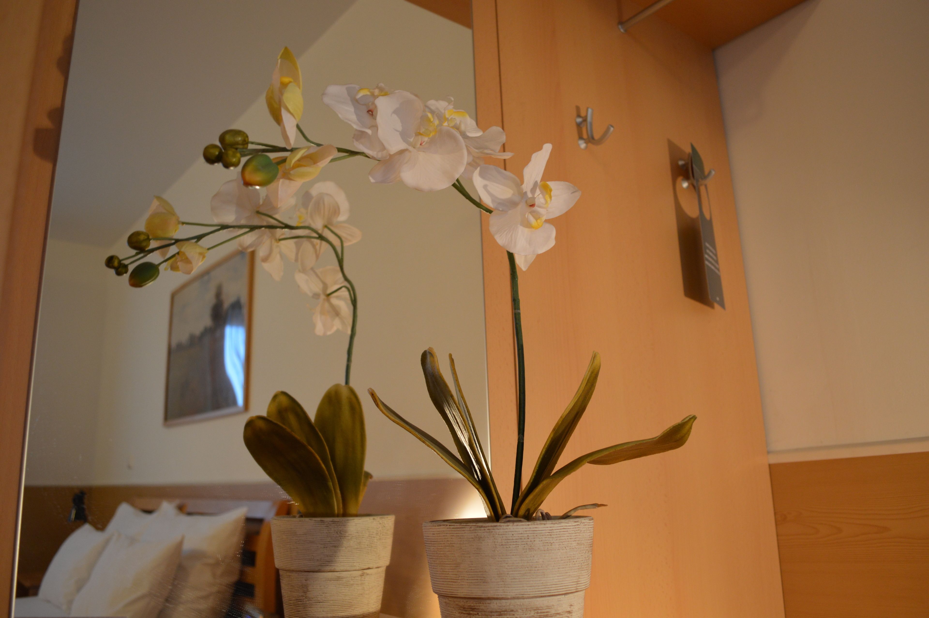 in-room safe, desk, free wifi, bed sheets