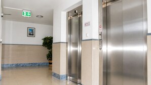 A clean, modern hallway with a potted plant, a framed picture on the wall, and two elevators.