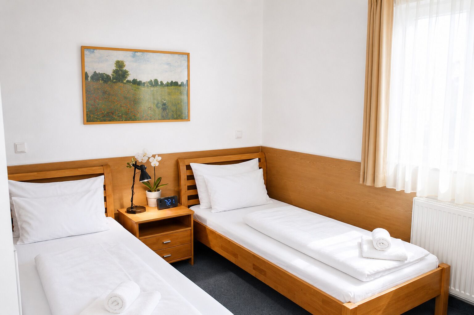 Standard Twin Room