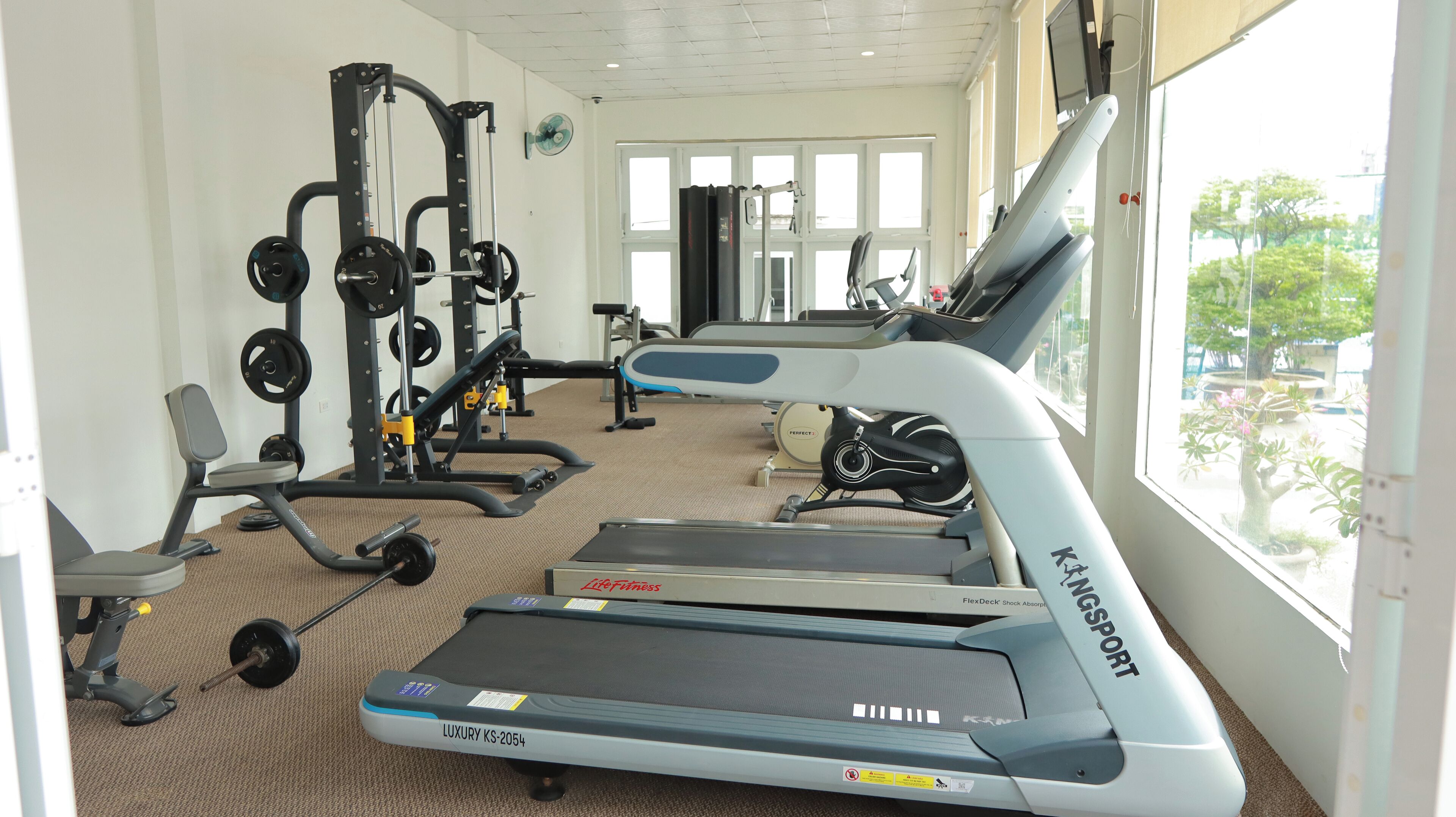 A gym with treadmills, weight machines, and a window with a view of trees.