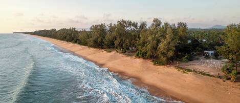 A beach with a sandy shore, trees, and a small structure.