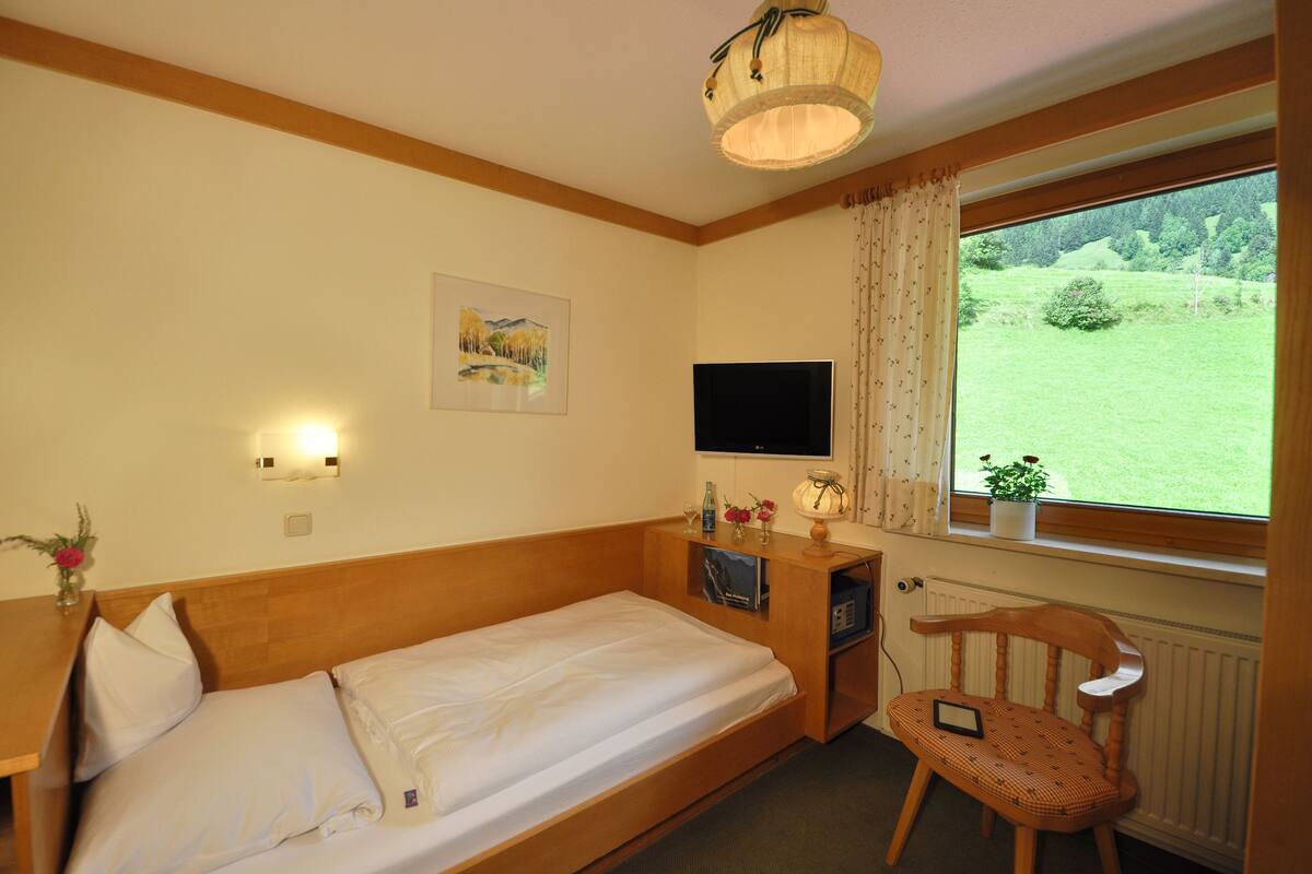 Een enkel bed met houten hoofdeinde, een nachtkastje met lamp, een televisie, een raam met uitzicht op een groen landschap en een stoel.