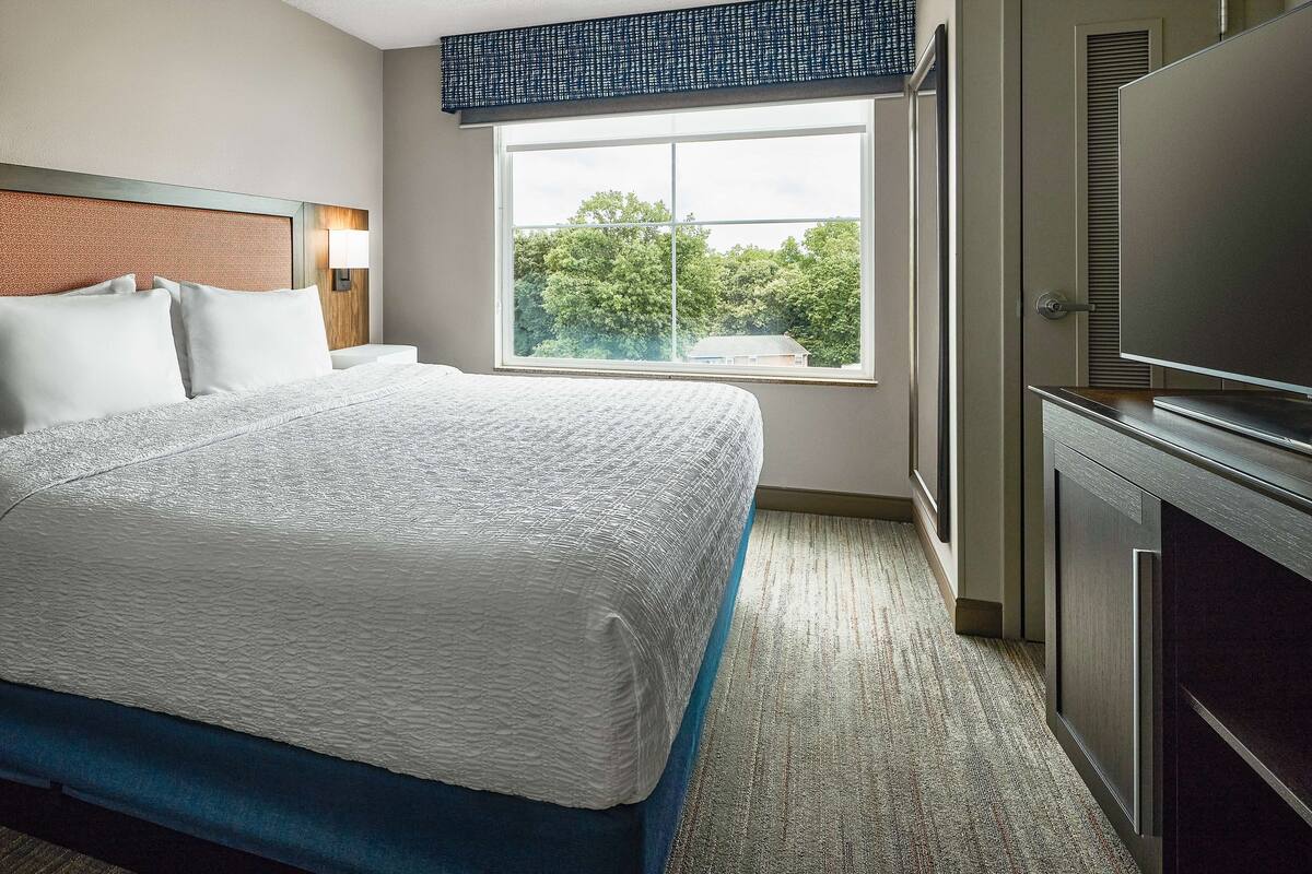 A hotel room with a large bed, a TV, a window with a view of trees, and a door with a vent.