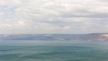 A coastal landscape with a body of water, distant hills, and a small boat.