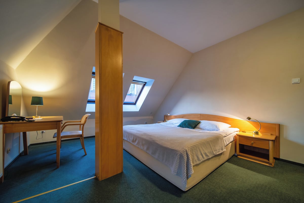 A bedroom with a bed, a desk, a chair, a nightstand, and a skylight.