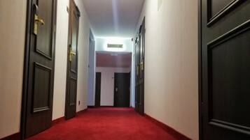 Un pasillo con alfombra roja, puertas de madera y una lámpara en el techo.