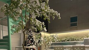 A snow-covered outdoor area with a Christmas tree, benches, and potted plants. - Hotel Tradiup by the Designers (Seoul)