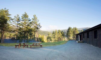 Vista desde la habitación