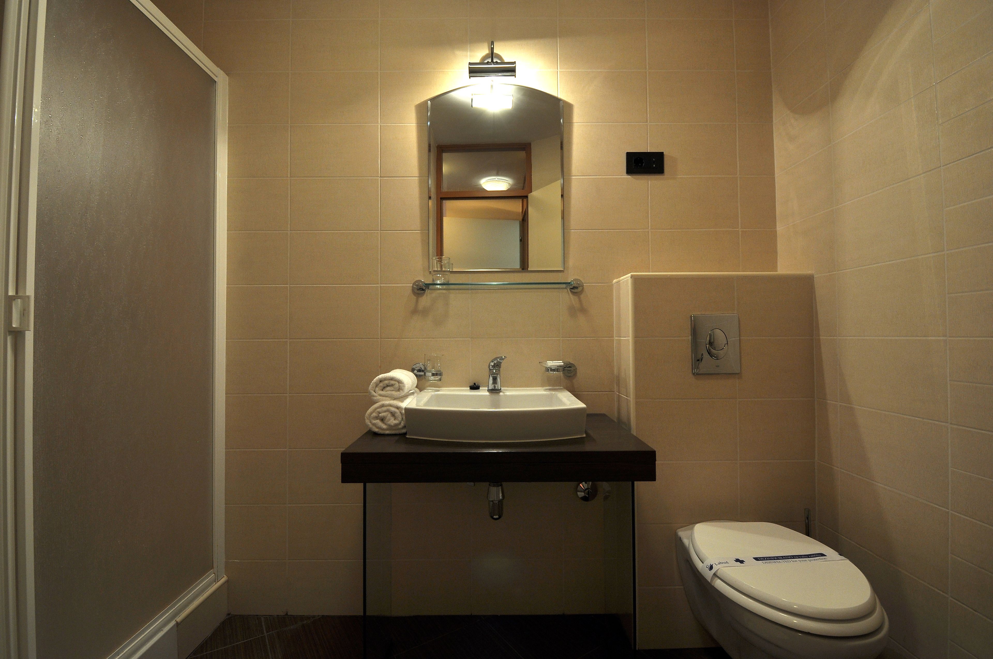 single room | bathroom | shower, hair dryer, towels