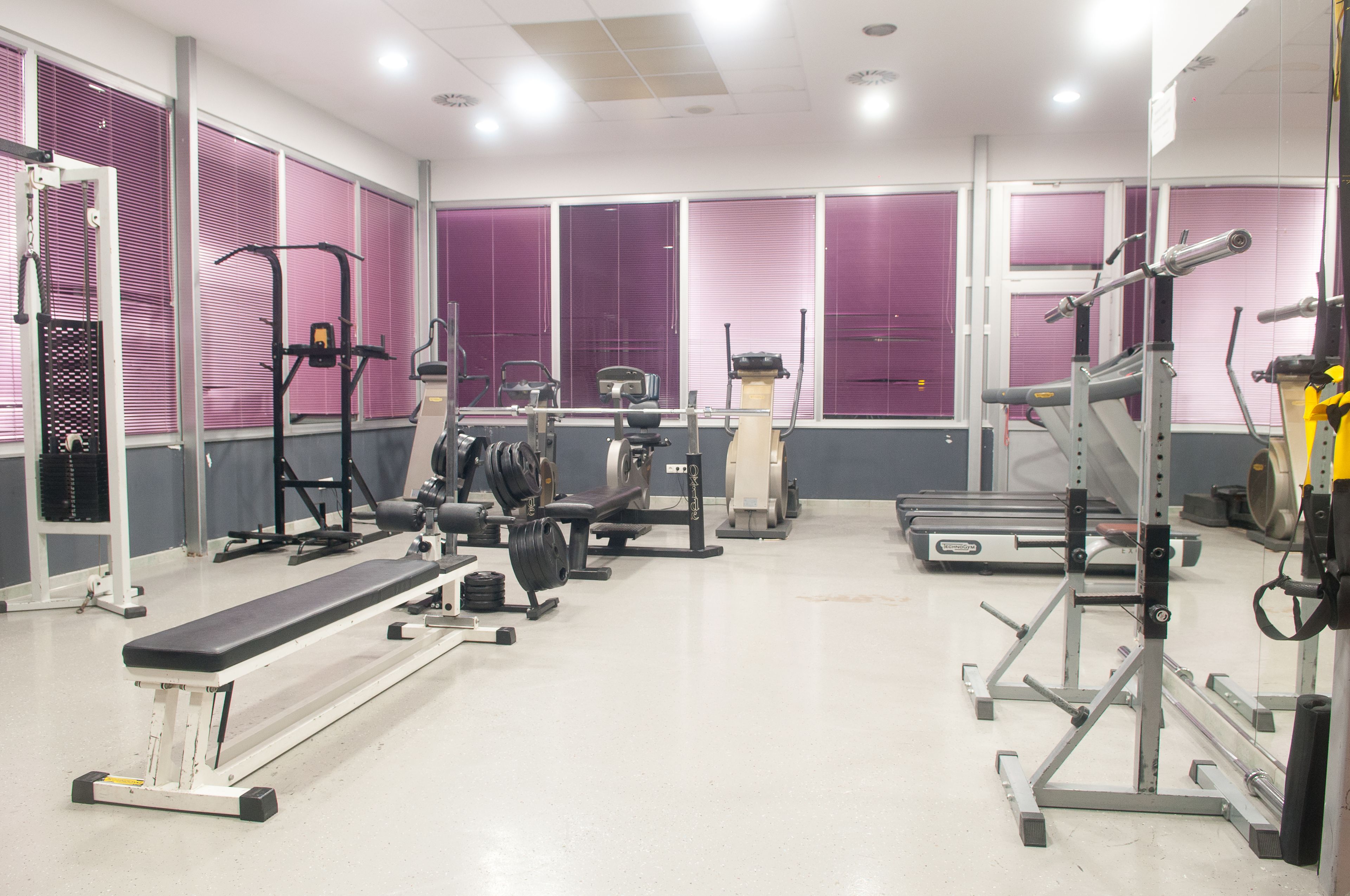 A gym with various exercise equipment, including treadmills, weight machines, and a bench.
